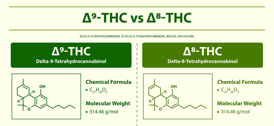 Delta-9 Gummies vs Delta-8 Gummies: Why Real THC Wins Every Time