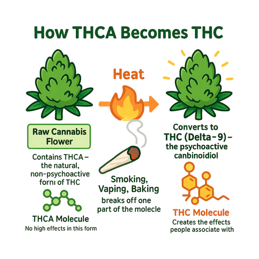 🌿 What is THCA Flower? The Complete Beginner’s Guide