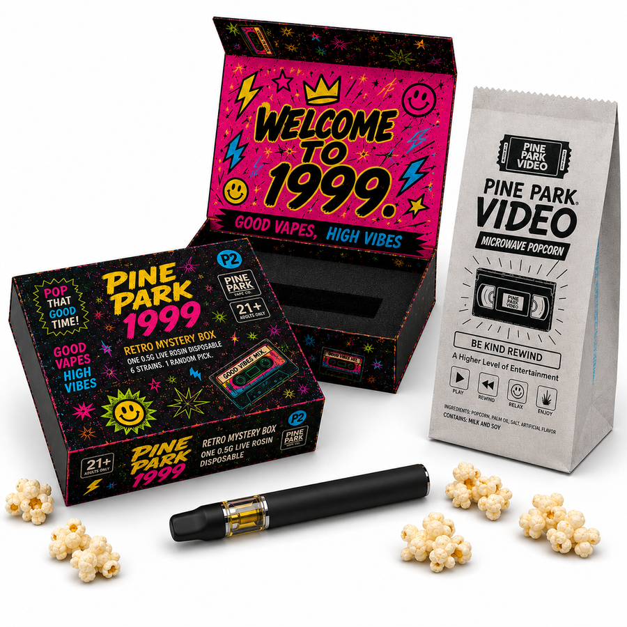 Pine Park Retro Mystery Box