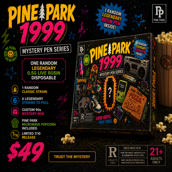 Pine Park Retro Mystery Box
