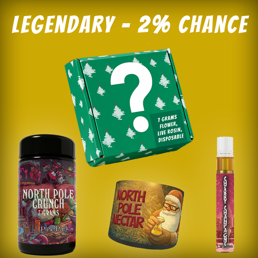 Pine Park Holiday Blind Box