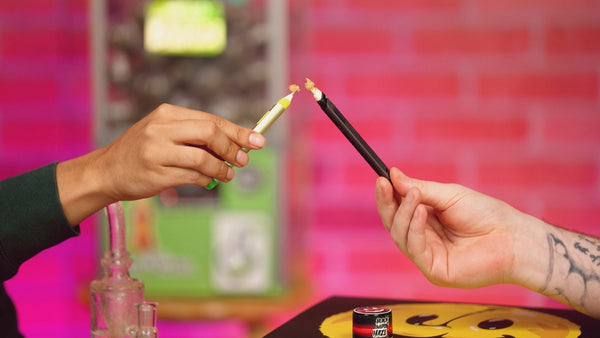 What Makes Live Rosin Different from Other Concentrates!?