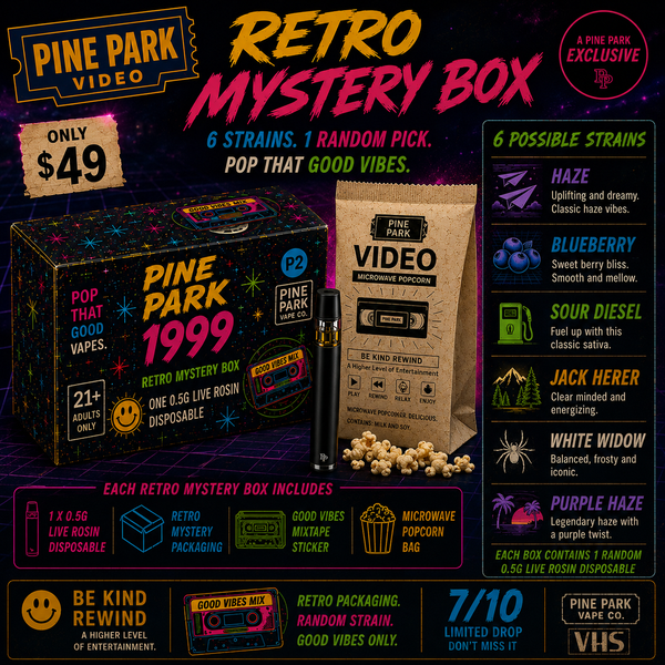 Pine Park Retro Mystery Box