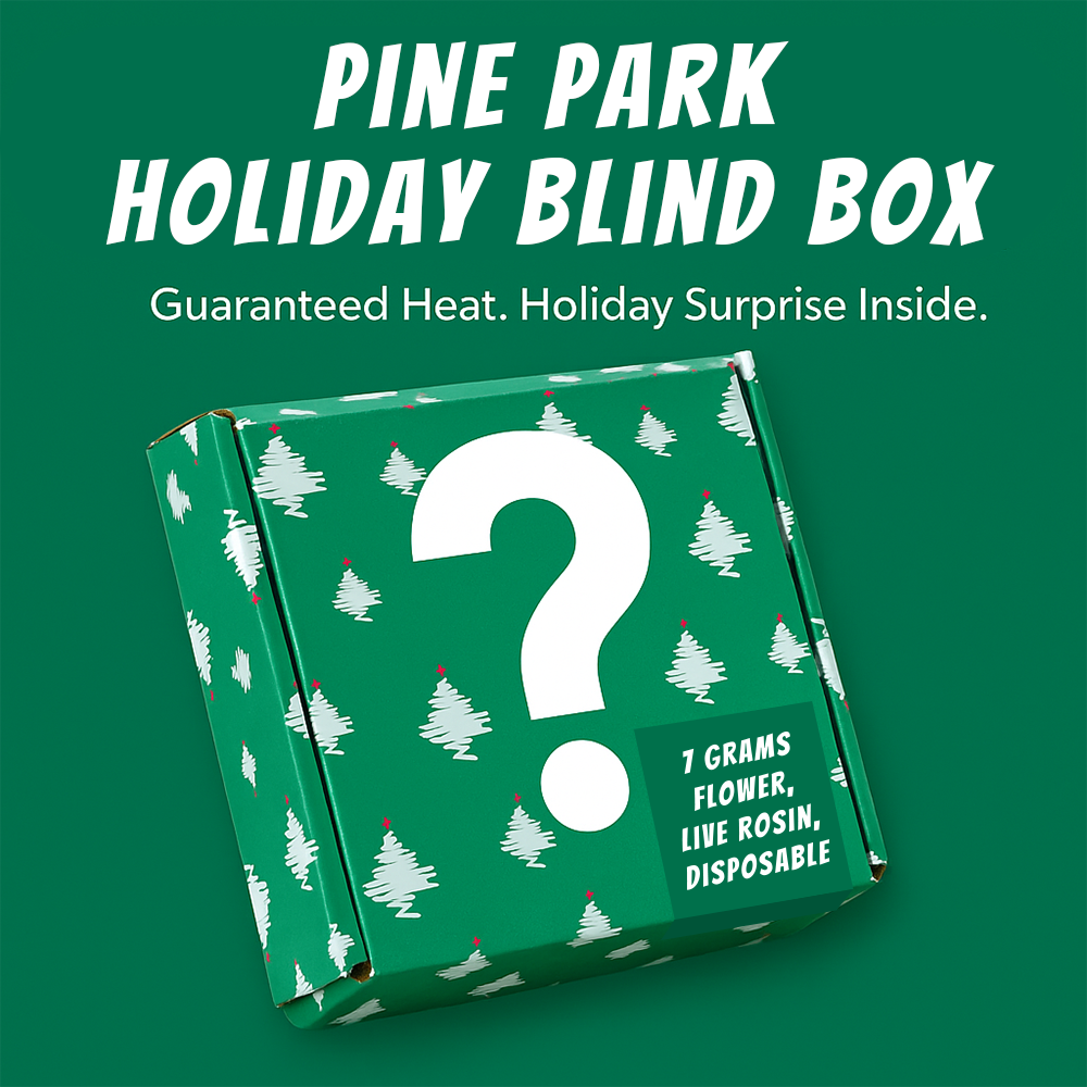 Pine Park Holiday Blind Box