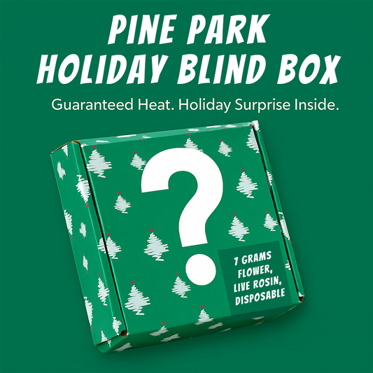 Pine Park Holiday Blind Box