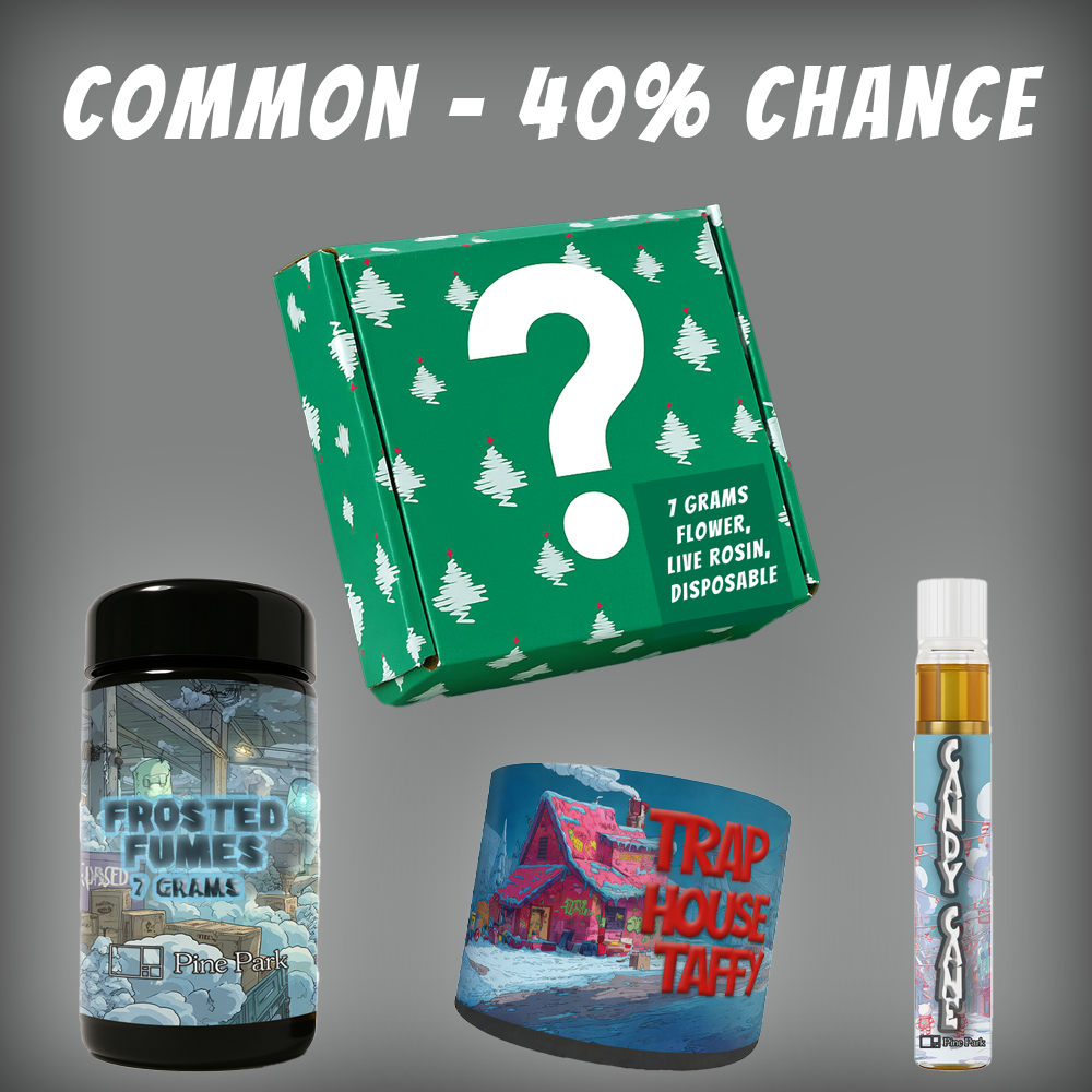 Pine Park Holiday Blind Box