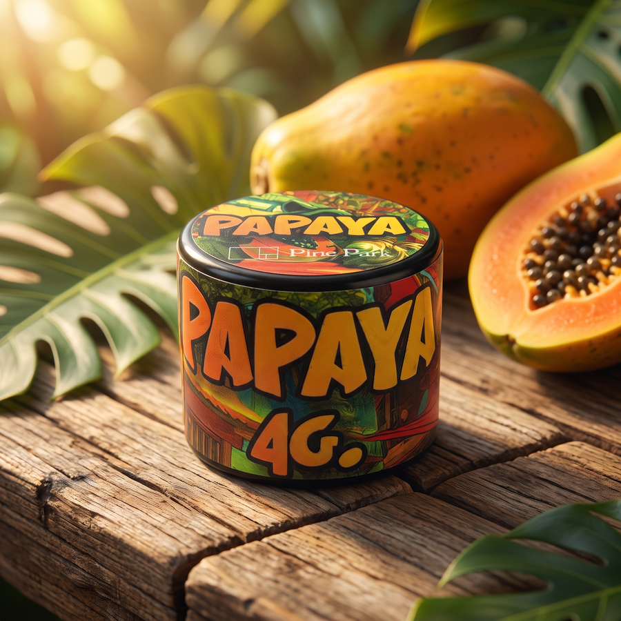 Papaya Live Rosin Budget Bucket 4g by Pine Park, lifestyle product photo