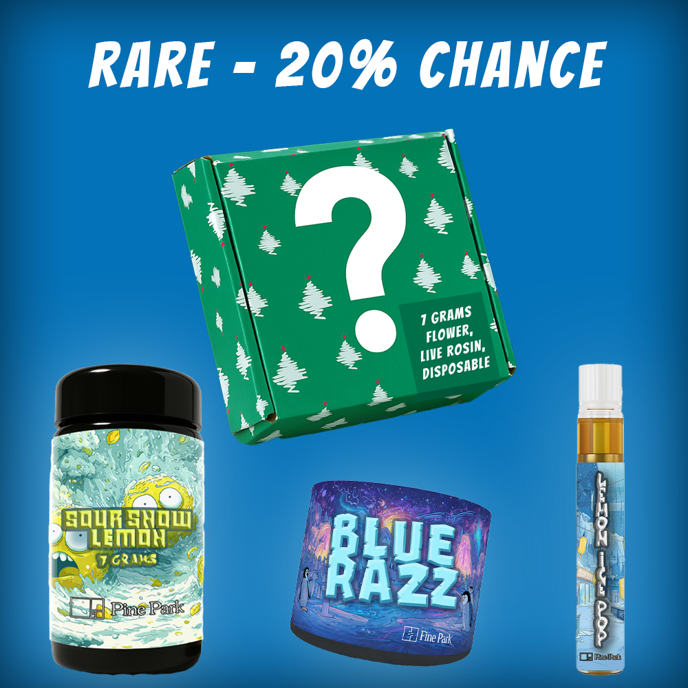 Pine Park Holiday Blind Box