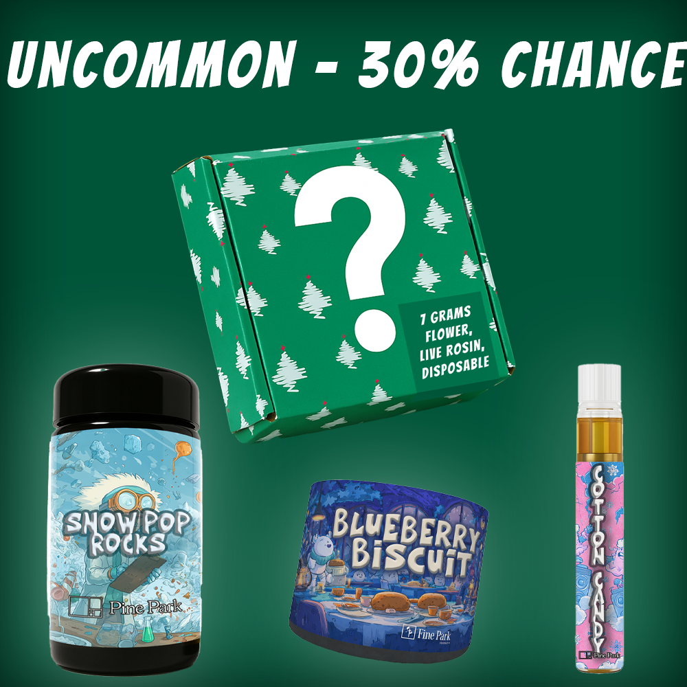 Pine Park Holiday Blind Box